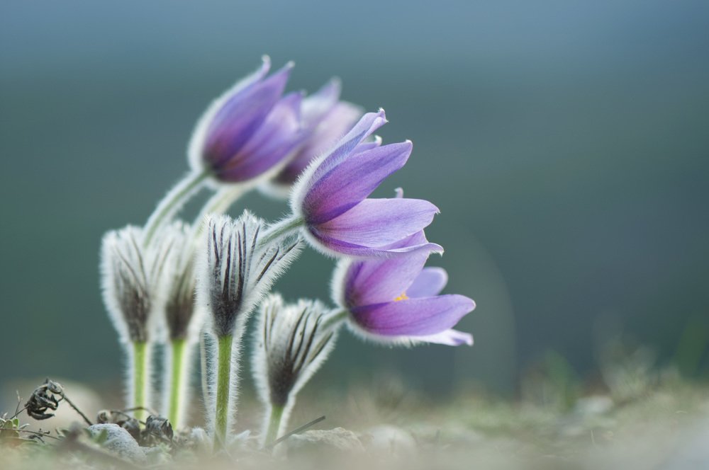 Photograph by Виталия Бересток