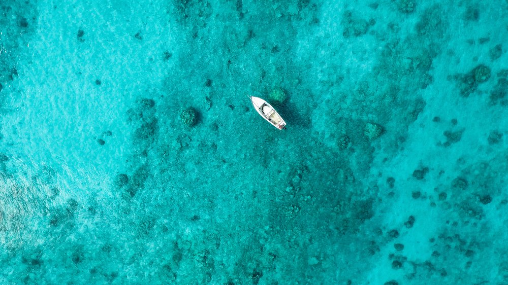 Photograph by LESIEUR Regis