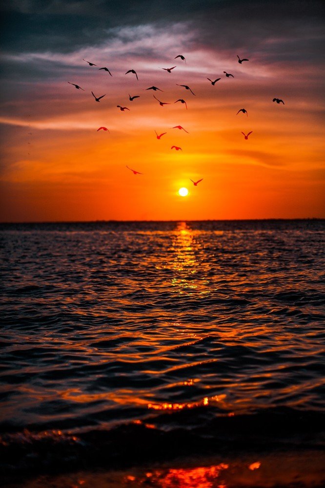 Photograph by Edvaldo maurico