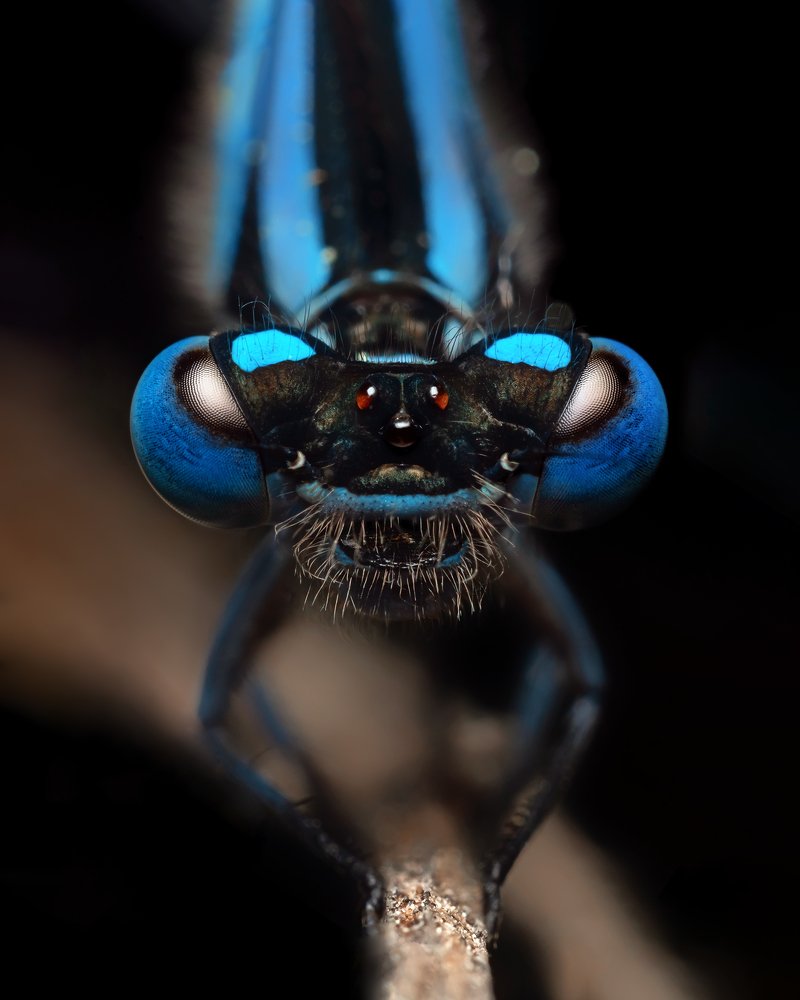 Photograph by Роман Фадеев