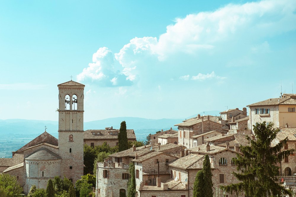 Photograph by Photo Lesnoe