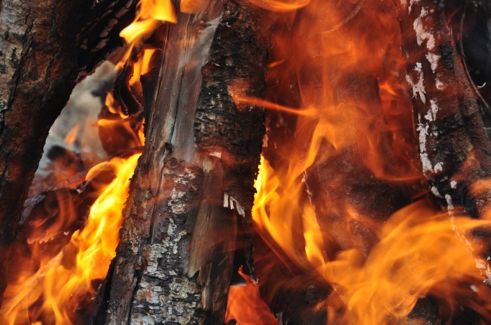 Photograph by Евгений Захаров