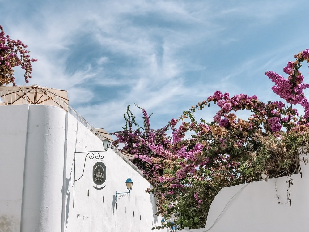 Photograph by Виктория Андрианова