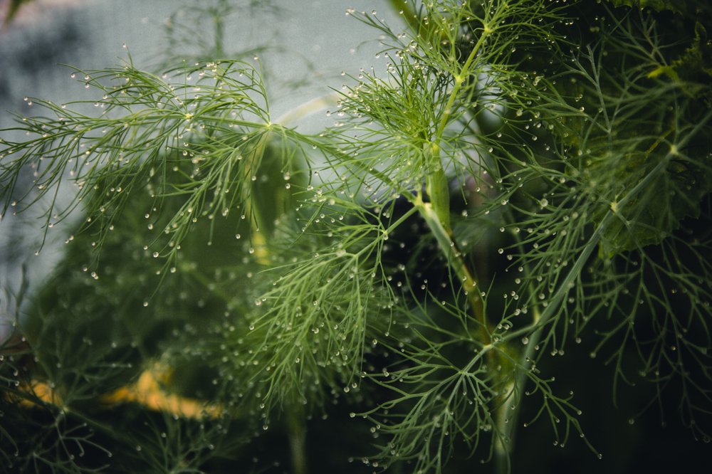 Photograph by Татьяна Куликова