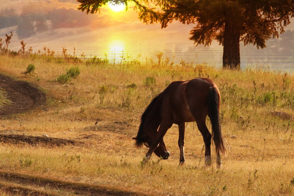 Photograph by Валерий Шорохов