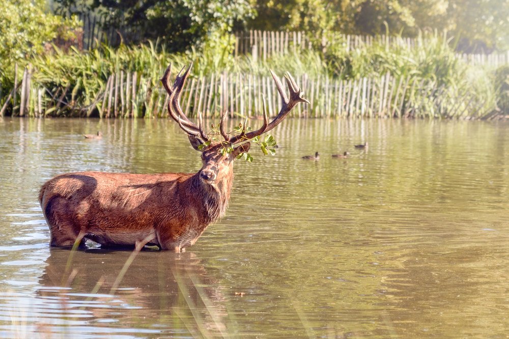 Photograph by Tomas Donauskas