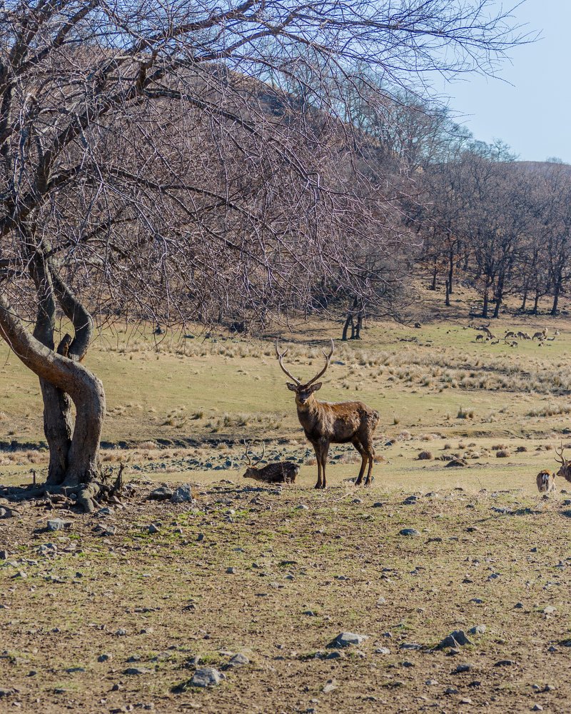 Photograph by Алексей Ожередов