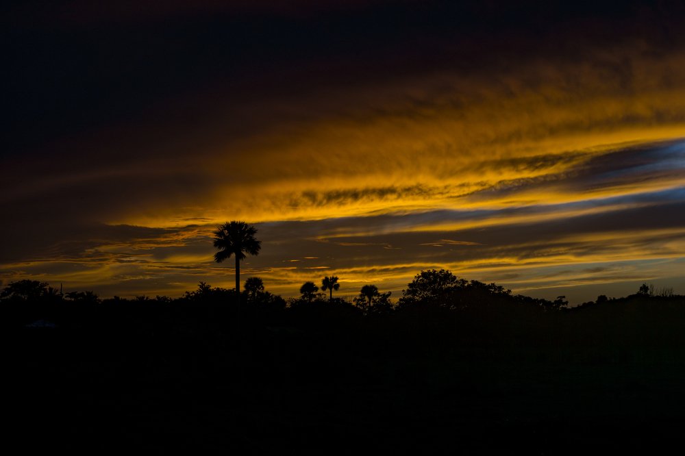 Photograph by Victor Manuel Vaillant Lara