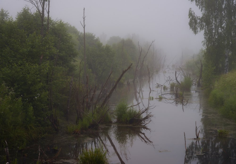 Photograph by Валентин Завьялов