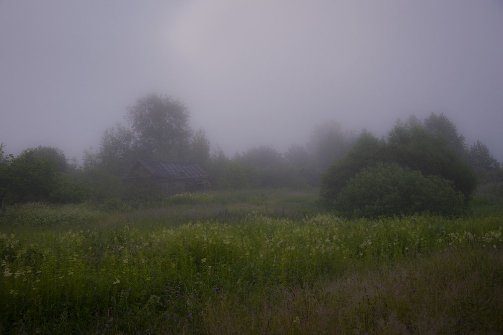 Photograph by Валентин Завьялов