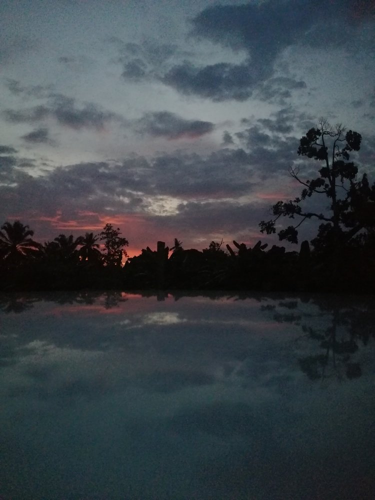 Lake at the evening