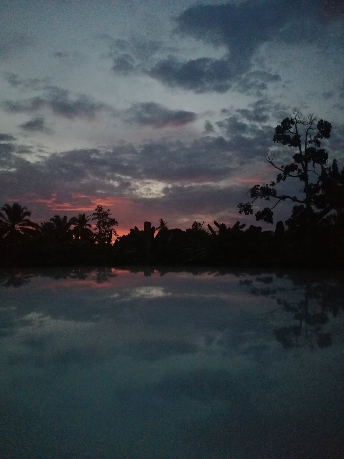 Lake at the evening