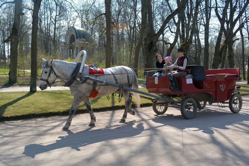 Во время прогулки по парку