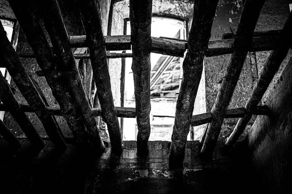 Photograph by Santo César