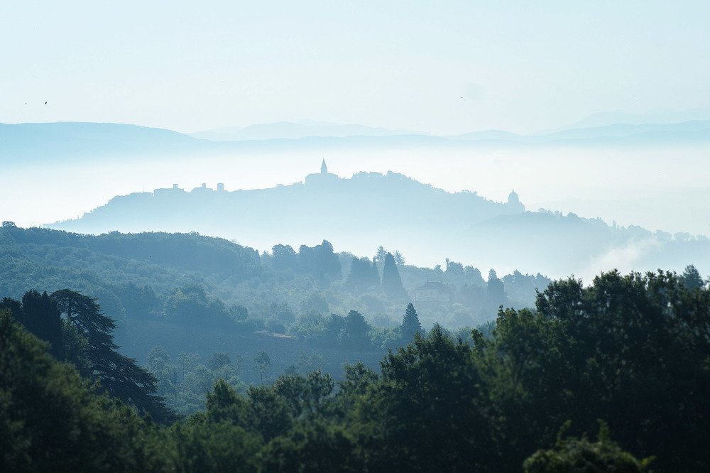 Photograph by Photo Lesnoe