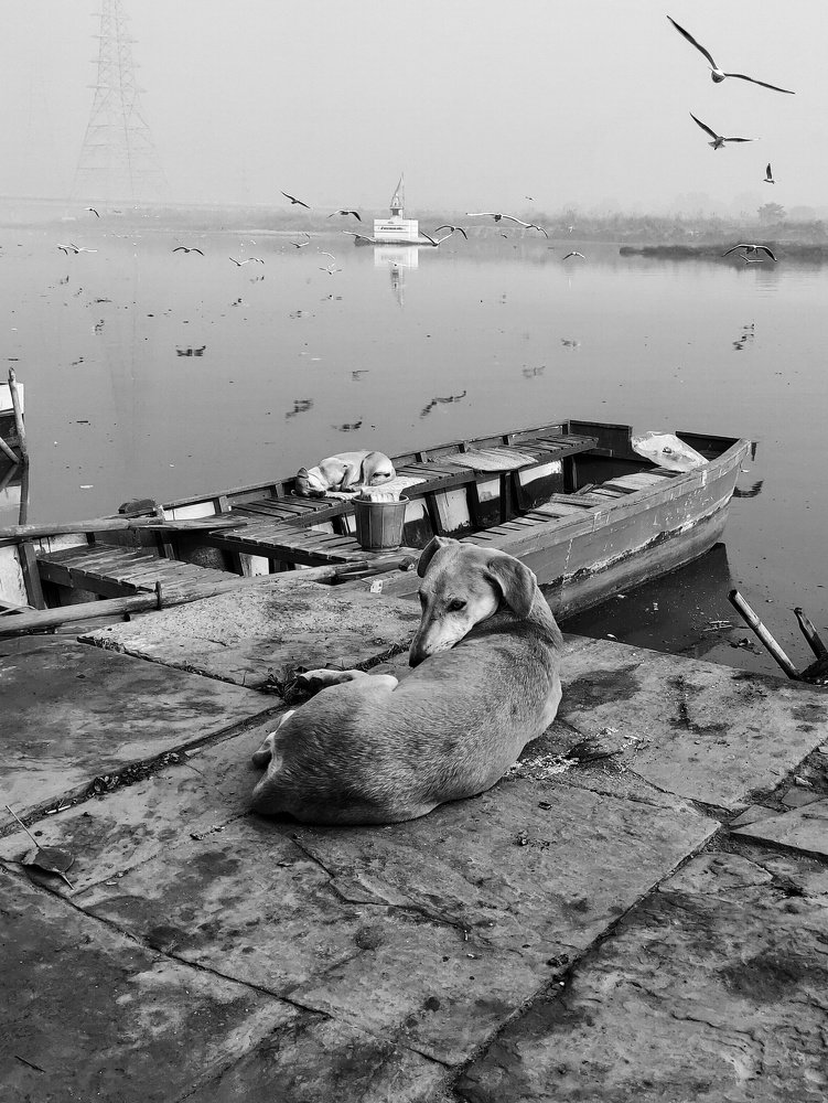 Photograph by Shramana Ghosh