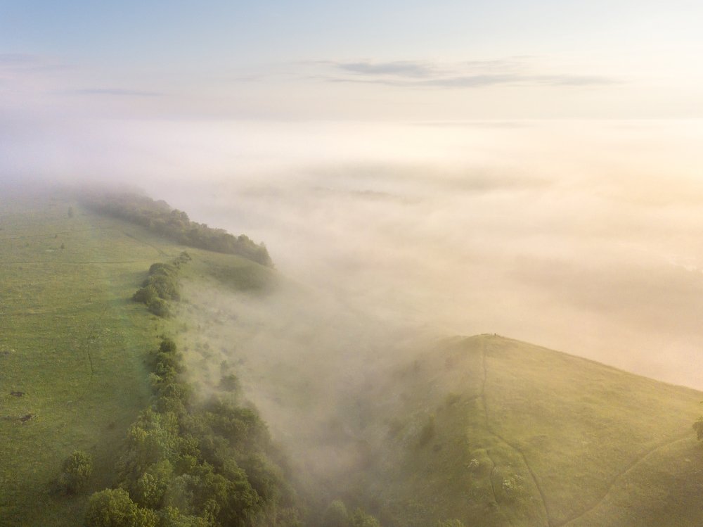 Photograph by Roman Dmitriev