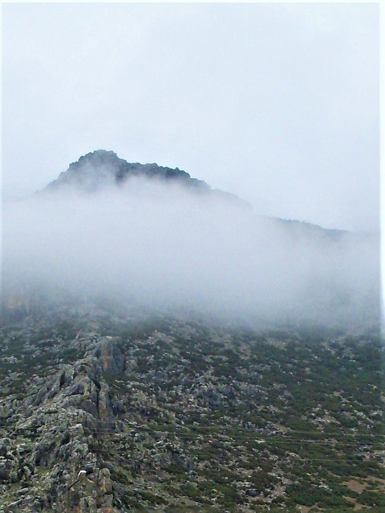 Photograph by Галина