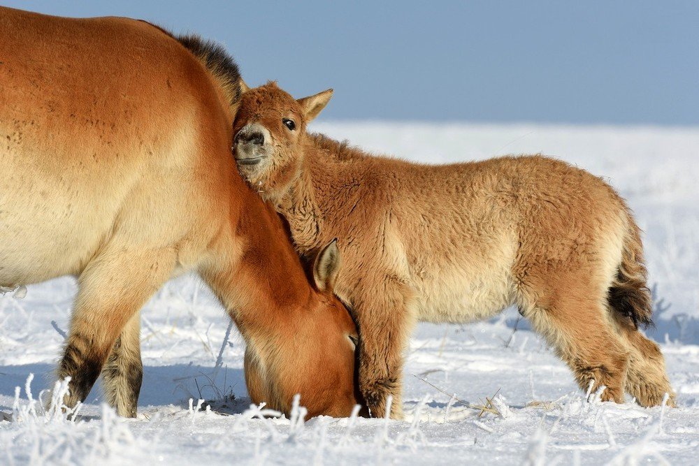 Photograph by Наталия