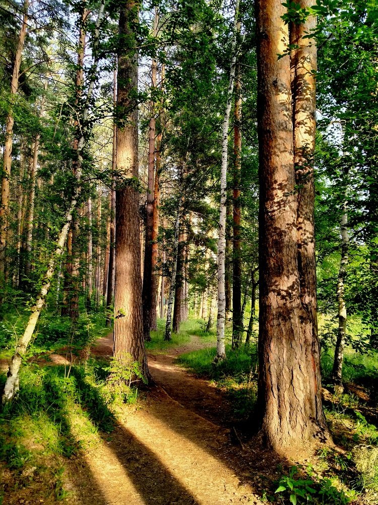 Photograph by Евгений Рогачевский