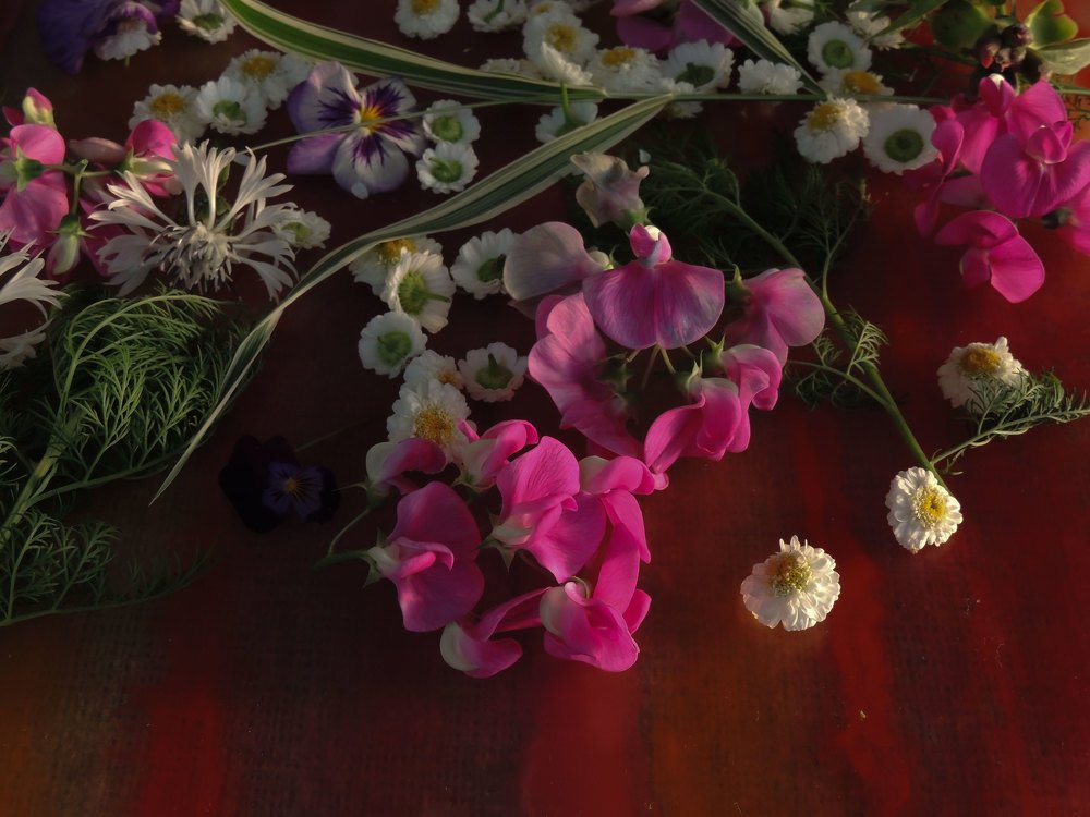 Photograph by Vladimir