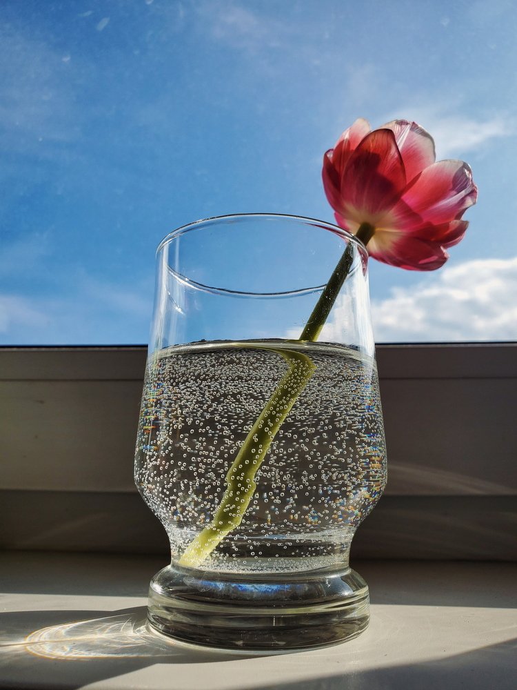 Photograph by Tatiana Potapenko