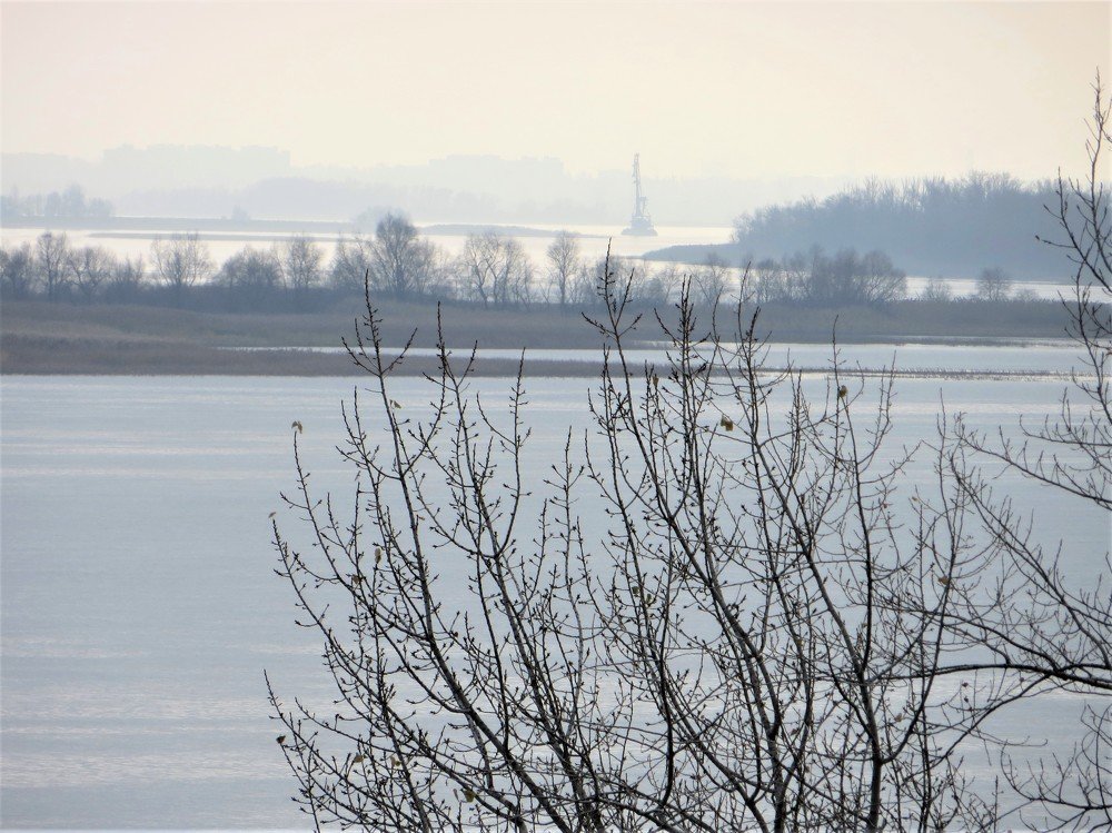 Photograph by Галина