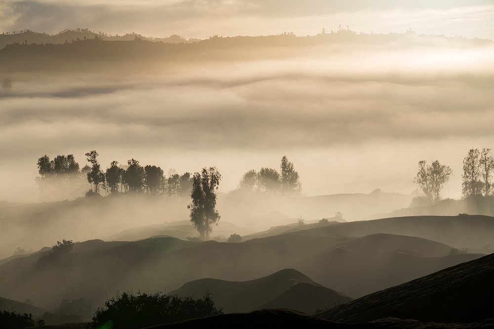 Photograph by aji mahareshi