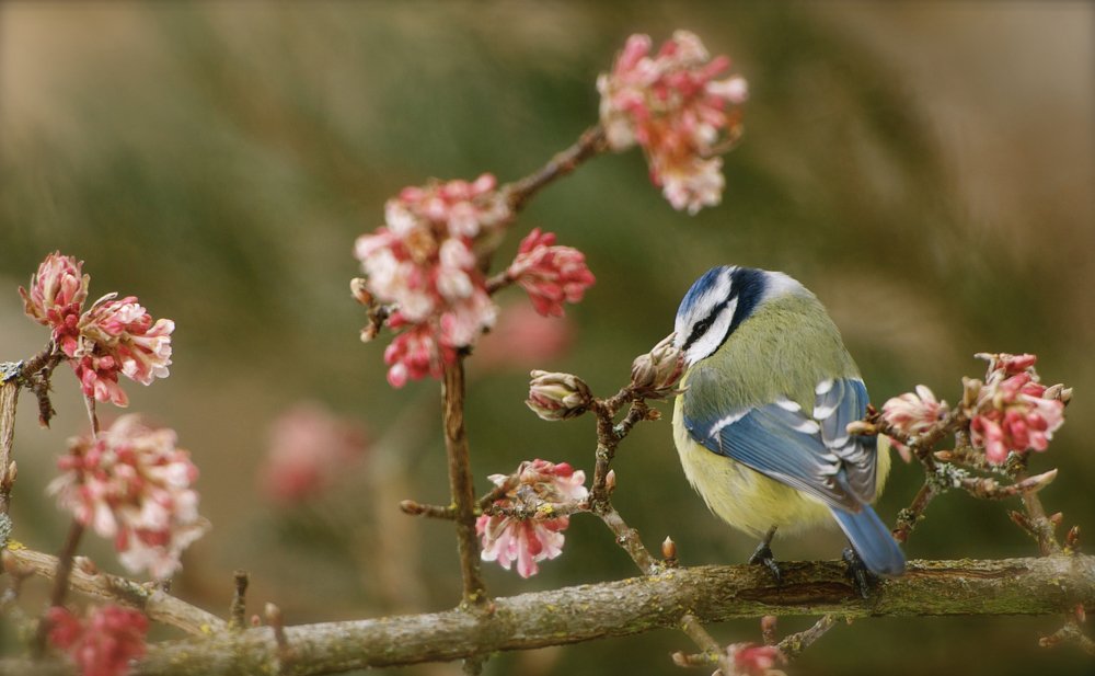 Photograph by LESIEUR Regis