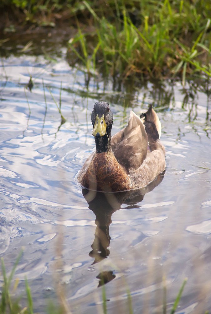 Photograph by Маргарита Федурина