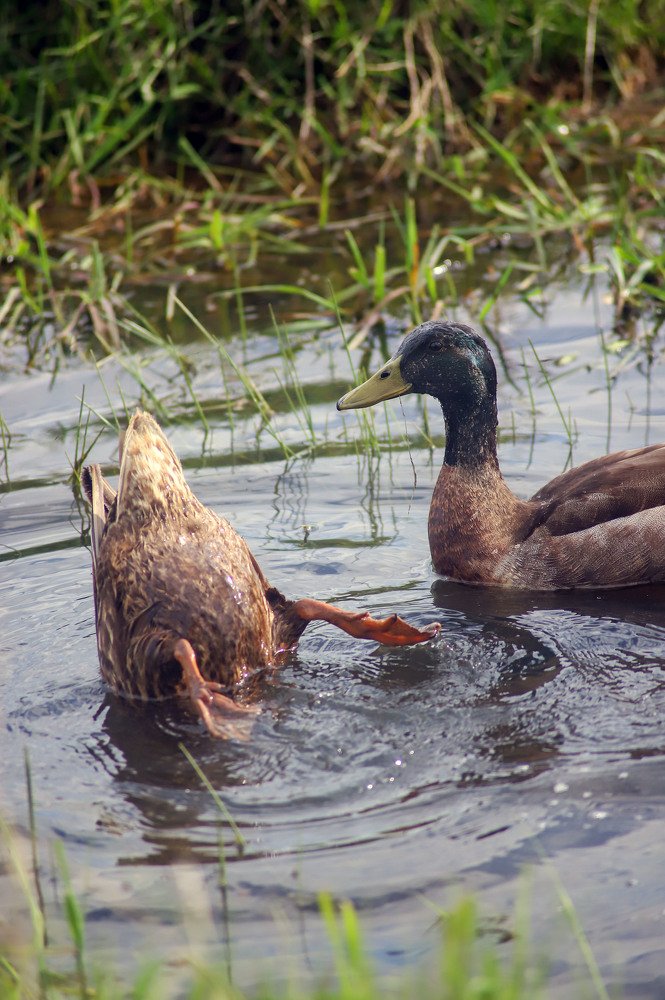 Photograph by Маргарита Федурина