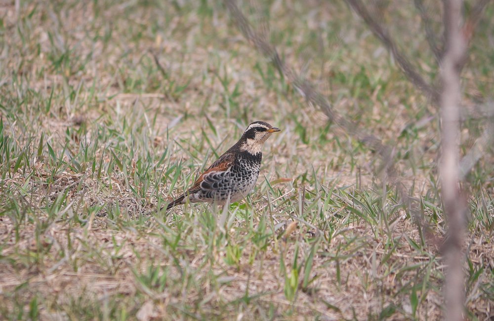Photograph by Маргарита Федурина