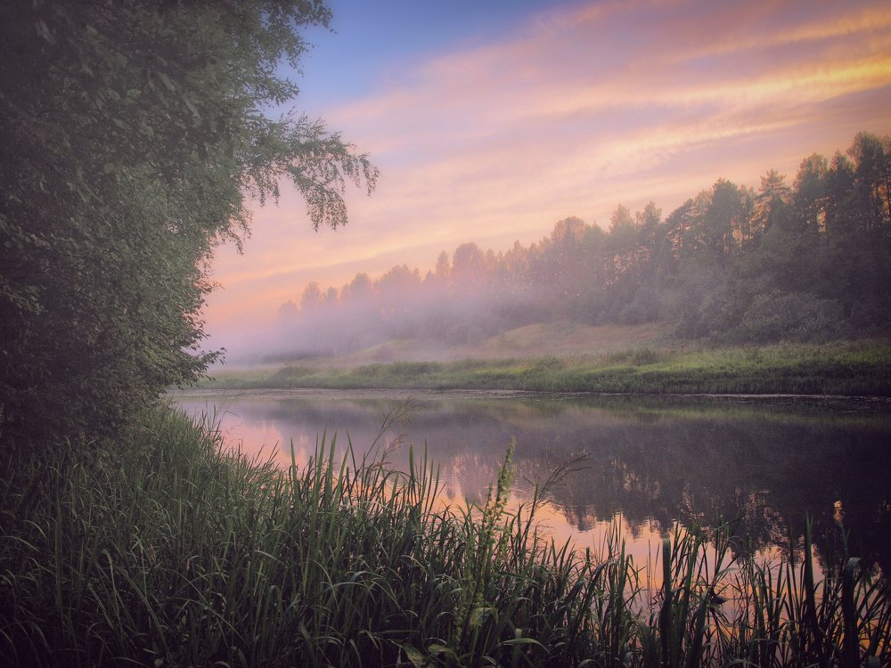 Туман на закате