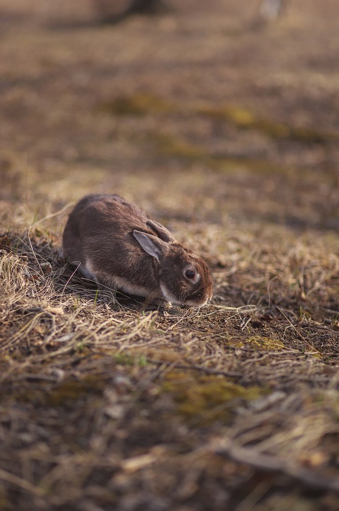 Photograph by Маргарита Федурина