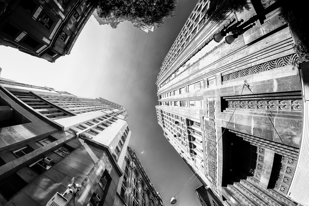 Photograph by Helder Palermo