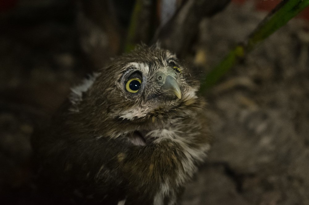 Photograph by Carina Albelda