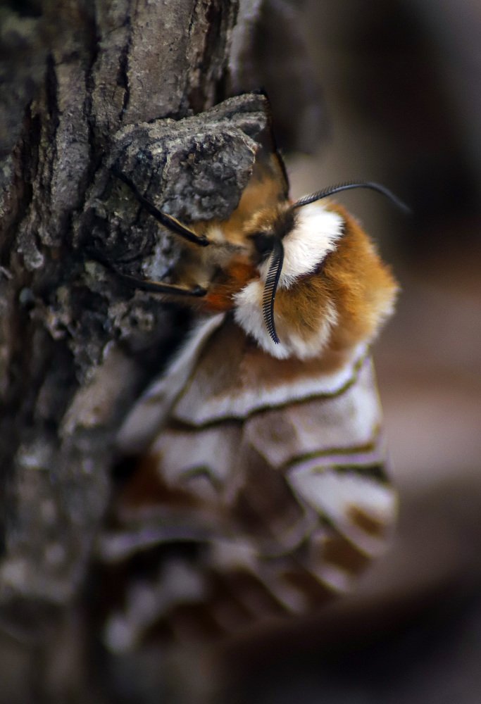 Photograph by Маргарита Федурина