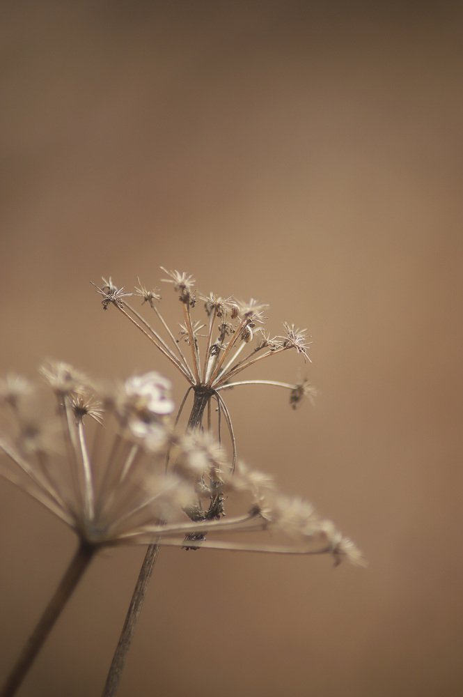 Photograph by Маргарита Федурина