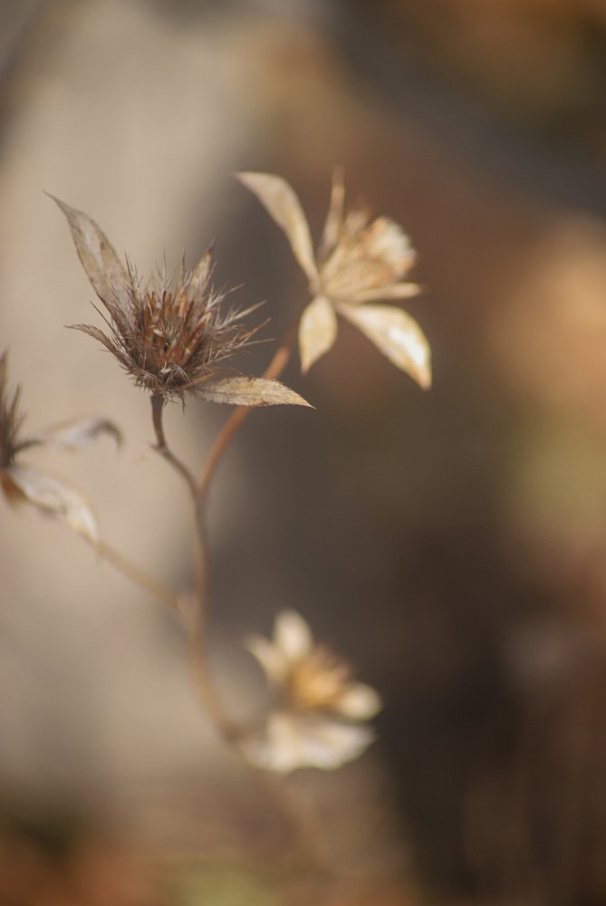 Photograph by Маргарита Федурина