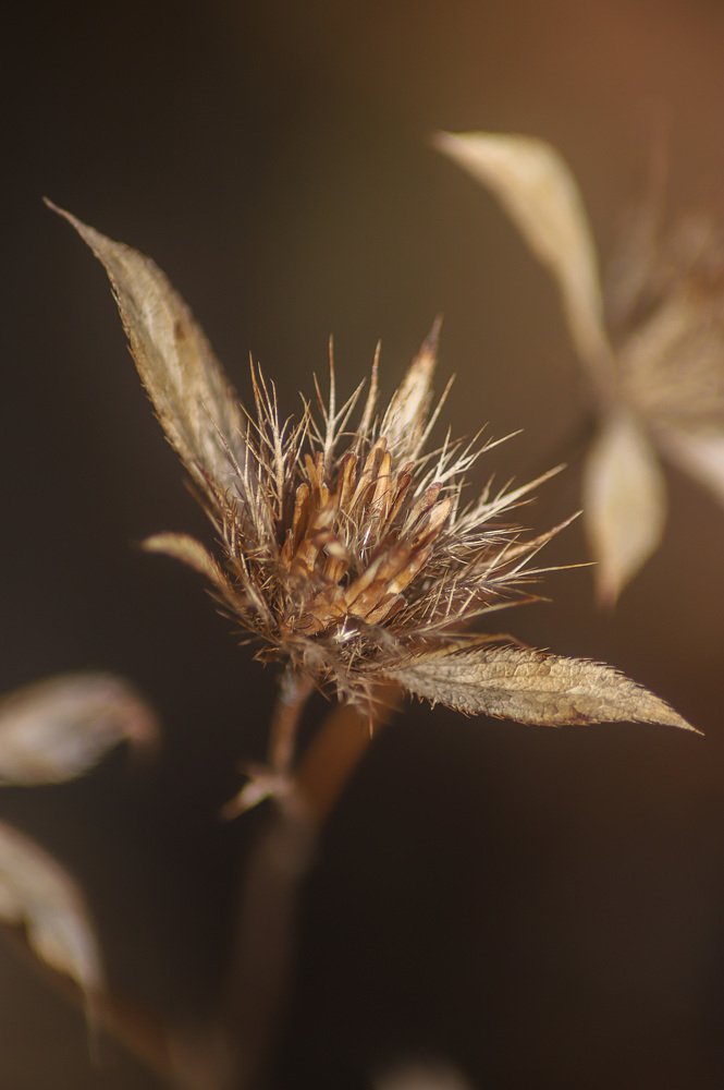 Photograph by Маргарита Федурина