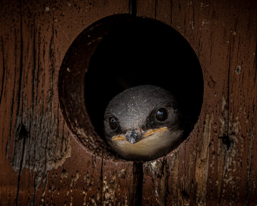 Photograph by JAMES BAILEY