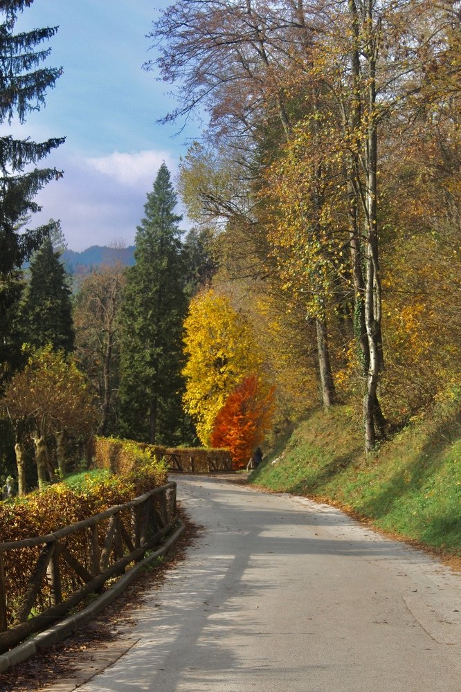 Photograph by Mina Stojadinović