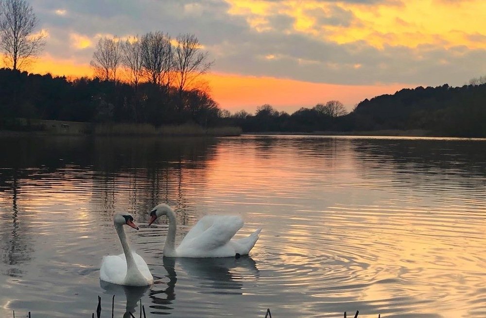 Photograph by Lila Sabbaghian Rad