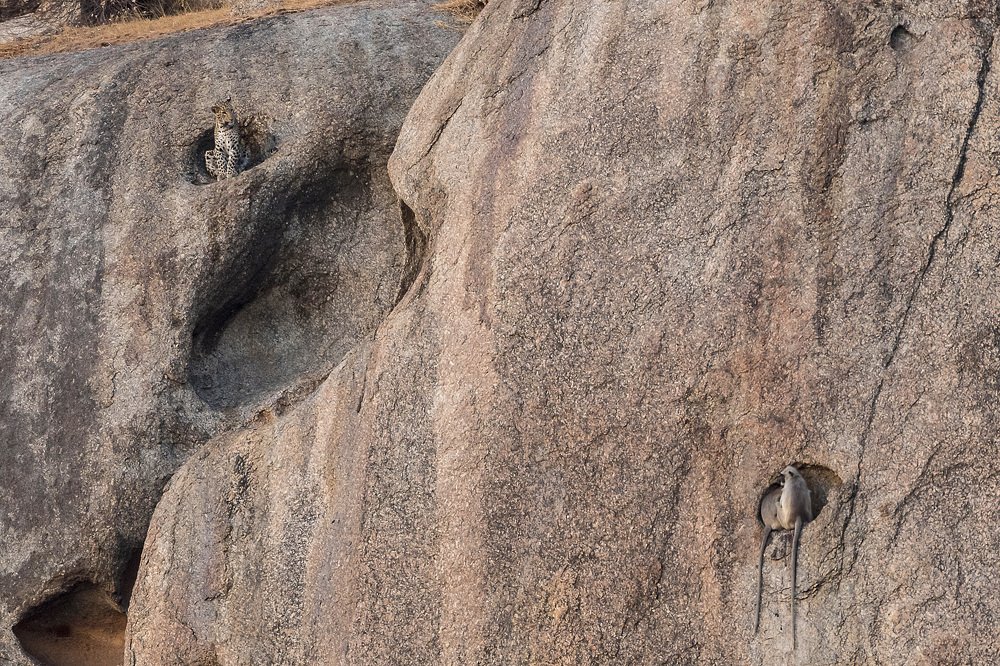 Photograph by Haresh Patel