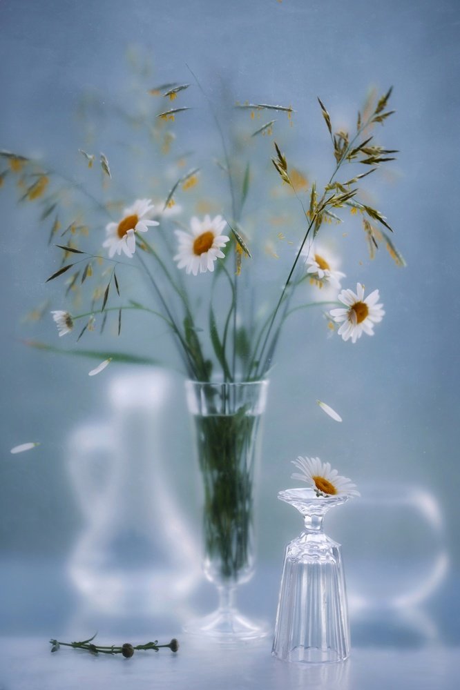 Photograph by Лариса Торопченкова