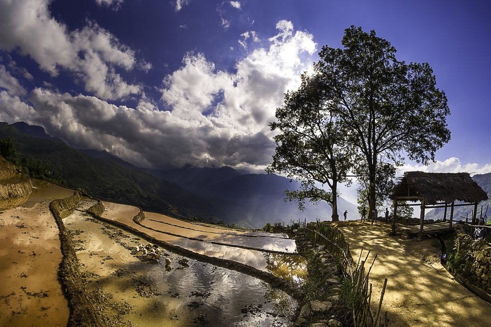 Photograph by Trần Viết Tú