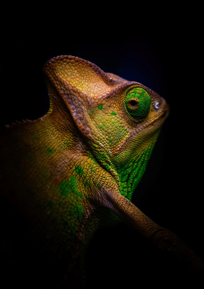 Photograph by Сергей Щербина