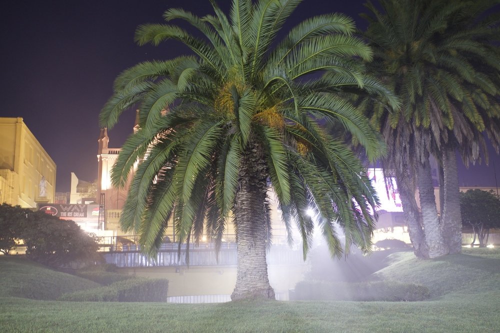 Photograph by Juan Pavlovsky