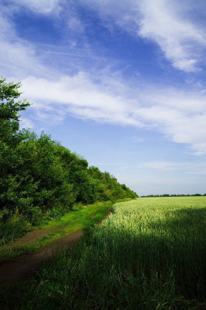 Photograph by Екатерина Бакулина