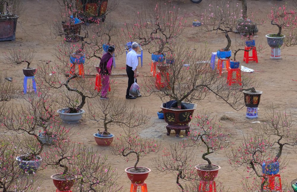 Photograph by Trần Viết Tú